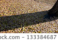 It's already the season of falling leaves 133384687