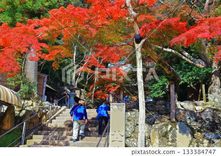 [Kagawa Prefecture] Okuboji Temple, the 88th temple of the Shikoku Pilgrimage, with its autumn foliage 133384747