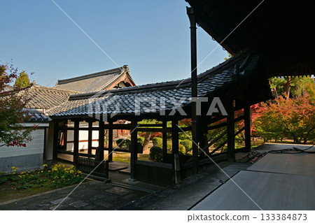 Nishijin Koshoji Temple 133384873