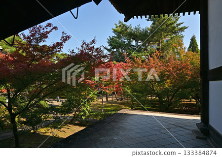 Nishijin Koshoji Temple Nishijin Koshoji Temple 133384874
