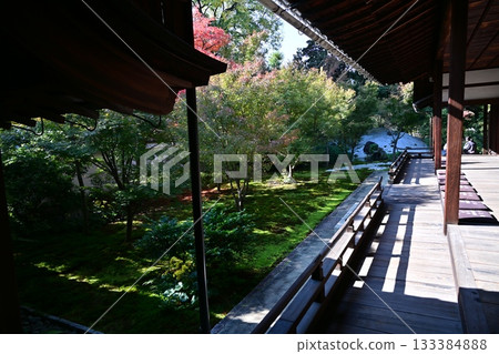 Nishijin Koshoji Temple 133384888