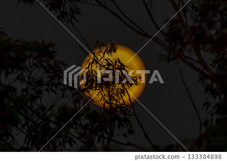 The Supermoon over the Blue Mountains in Australia The Supermoon over the Blue Mountains in Australia 133384898