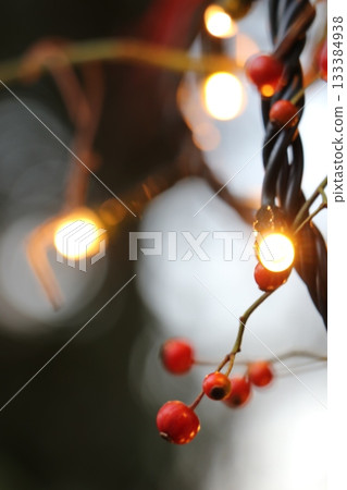 燈光和紅色漿果 133384938