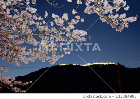 "Takeda Cherry Blossom Row" Takeda Castle ruins seen through the cherry blossoms along the Maruyama River at night 133384993