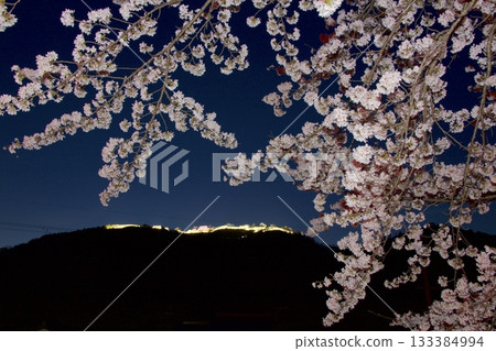 "Takeda Cherry Blossom Row" Takeda Castle ruins seen through the cherry blossoms along the Maruyama River at night 133384994
