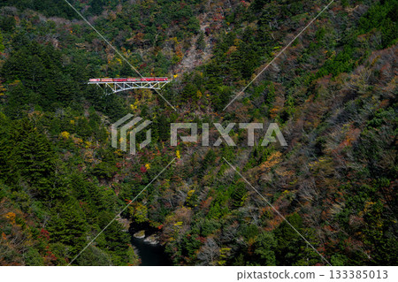 靜岡縣井川市雪佐峽的秋葉，以及大井川鐵道井川線上的Abt型蒸汽機車。 133385013
