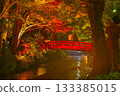 Oguni Shrine's autumn leaves turn red 133385015