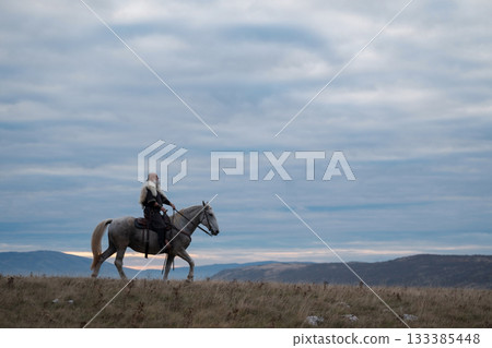 A majestic Viking chieftain on a dappled grey horse, clad in a fur cloak, surveys a desolate, mountainous landscape under a dramatic cloudy sky, exuding power and presence. A majestic Viking chieftain on a dappled grey horse, clad in a fur cloak, surveys a desolate, mountainous landscape under a dramatic cloudy sky, exuding power and presence. 133385448