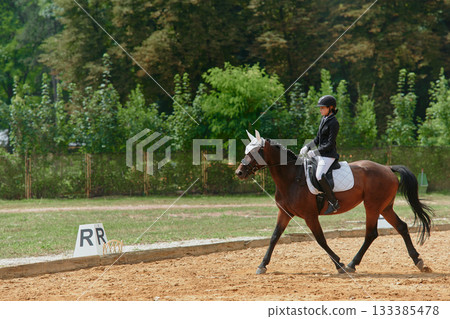 Equestrian sport, horse and rider in dressage competition, woman riding horse in outdoor arena, training and performance, equine event, sunny day, natural light, action shot. Equestrian sport, horse and rider in dressage competition, woman riding horse in outdoor arena, training and performance, equine event, sunny day, natural light, action shot. 133385478