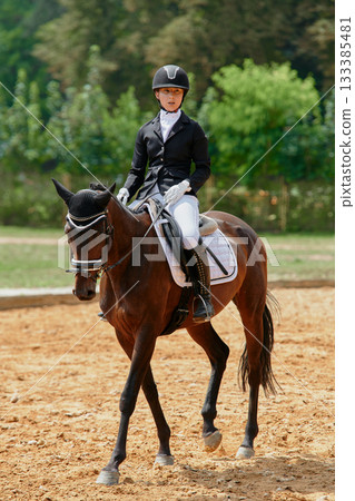 Equestrian sport, horse and rider in dressage competition, woman riding horse in outdoor arena, training and performance, equine event, sunny day, natural light, action shot. Equestrian sport, horse and rider in dressage competition, woman riding horse in outdoor arena, training and performance, equine event, sunny day, natural light, action shot. 133385481