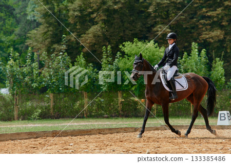 Equestrian sport, horse and rider in dressage competition, woman riding horse in outdoor arena, training and performance, equine event, sunny day, natural light, action shot. Equestrian sport, horse and rider in dressage competition, woman riding horse in outdoor arena, training and performance, equine event, sunny day, natural light, action shot. 133385486