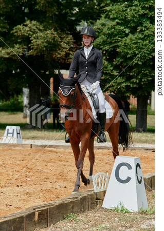 Equestrian dressage competition, young woman riding horse in outdoor arena, performing test, horse and rider in harmony, showing skill and precision, summer day, sport event. Equestrian dressage competition, young woman riding horse in outdoor arena, performing test, horse and rider in harmony, showing skill and precision, summer day, sport event. 133385494