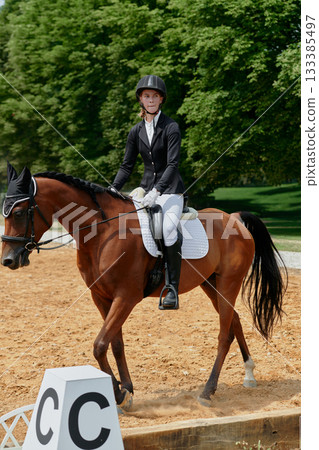 Equestrian sport, horse and rider in dressage competition, woman riding horse in outdoor arena, training and performance, equine event, sunny day, natural light, action shot. 133385497