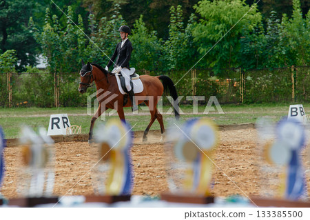 Equestrian sport, dressage competition with a rider on horseback, performing in an outdoor arena, horse riding event, equestrianism, show jumping, horsewoman. 133385500
