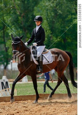 Equestrian sport, horse and rider in dressage competition, woman riding horse in outdoor arena, training and performance, equine event, sunny day, natural light, action shot. Equestrian sport, horse and rider in dressage competition, woman riding horse in outdoor arena, training and performance, equine event, sunny day, natural light, action shot. 133385505