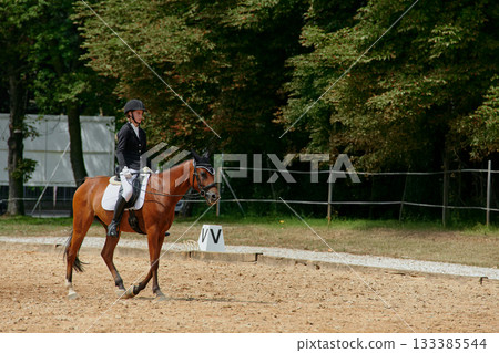 Equestrian sport, horse and rider in dressage competition, woman riding horse in outdoor arena, training and performance, equine event, sunny day, natural light, action shot. 133385544