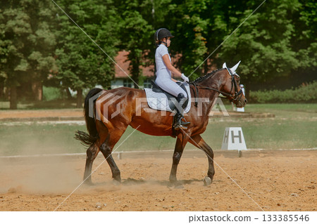 Equestrian sport, horse and rider in dressage competition, woman riding horse in outdoor arena, training and performance, equine event, sunny day, natural light, action shot. Equestrian sport, horse and rider in dressage competition, woman riding horse in outdoor arena, training and performance, equine event, sunny day, natural light, action shot. 133385546