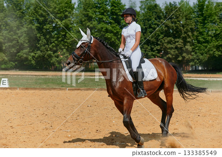 Equestrian sport, horse and rider in dressage competition, woman riding horse in outdoor arena, training and performance, equine event, sunny day, natural light, action shot. 133385549