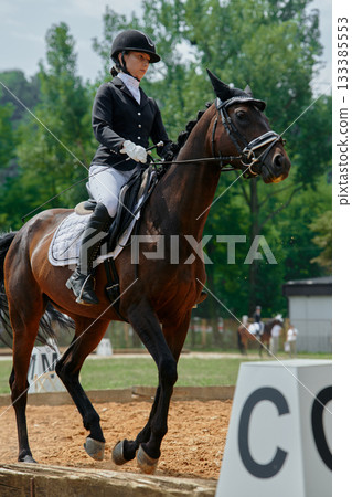 Equestrian sport, horse and rider in dressage competition, woman riding horse in outdoor arena, training and performance, equine event, sunny day, natural light, action shot. Equestrian sport, horse and rider in dressage competition, woman riding horse in outdoor arena, training and performance, equine event, sunny day, natural light, action shot. 133385553