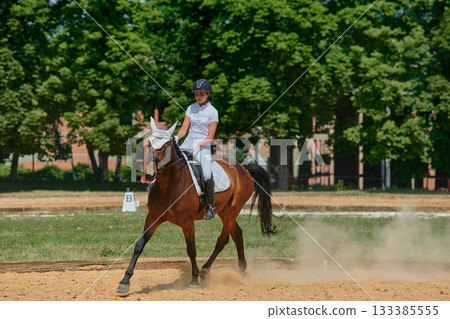Equestrian sport, horse and rider in dressage competition, woman riding horse in outdoor arena, training and performance, equine event, sunny day, natural light, action shot. Equestrian sport, horse and rider in dressage competition, woman riding horse in outdoor arena, training and performance, equine event, sunny day, natural light, action shot. 133385555