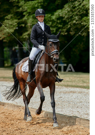 Equestrian sport, horse and rider in dressage competition, woman riding horse in outdoor arena, training and performance, equine event, sunny day, natural light, action shot. Equestrian sport, horse and rider in dressage competition, woman riding horse in outdoor arena, training and performance, equine event, sunny day, natural light, action shot. 133385560