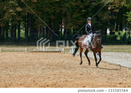 Equestrian sport, horse and rider in dressage competition, woman riding horse in outdoor arena, training and performance, equine event, sunny day, natural light, action shot. 133385564