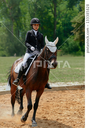 Equestrian sport, horse and rider in dressage competition, woman riding horse in outdoor arena, training and performance, equine event, sunny day, natural light, action shot. Equestrian sport, horse and rider in dressage competition, woman riding horse in outdoor arena, training and performance, equine event, sunny day, natural light, action shot. 133385828