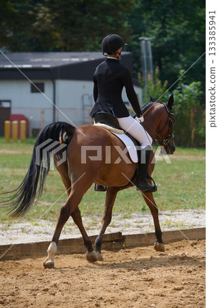 Equestrian sport, horse and rider in dressage competition, woman riding horse in outdoor arena, training and performance, equine event, sunny day, natural light, action shot. Equestrian sport, horse and rider in dressage competition, woman riding horse in outdoor arena, training and performance, equine event, sunny day, natural light, action shot. 133385941