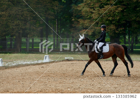 Equestrian sport, horse and rider in dressage competition, woman riding horse in outdoor arena, training and performance, equine event, sunny day, natural light, action shot. Equestrian sport, horse and rider in dressage competition, woman riding horse in outdoor arena, training and performance, equine event, sunny day, natural light, action shot. 133385962