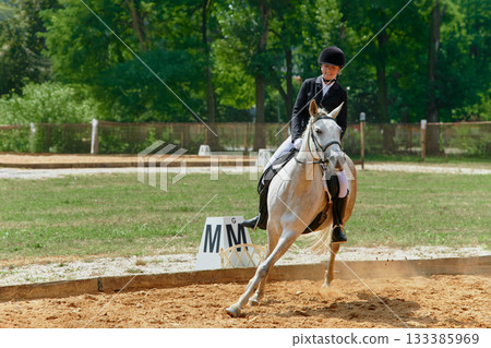 Equestrian sport, horse and rider in dressage competition, woman riding horse in outdoor arena, training and performance, equine event, sunny day, natural light, action shot. 133385969