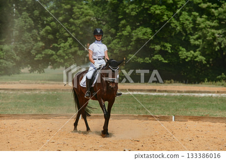 Equestrian sport, horse and rider in dressage competition, woman riding horse in outdoor arena, training and performance, equine event, sunny day, natural light, action shot. 133386016
