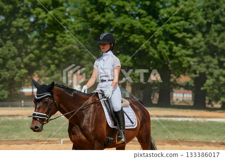 Equestrian sport, horse and rider in dressage competition, woman riding horse in outdoor arena, training and performance, equine event, sunny day, natural light, action shot. 133386017