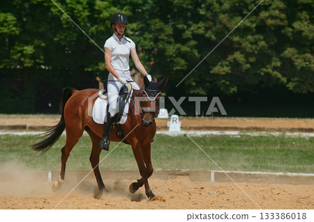 Equestrian sport, horse and rider in dressage competition, woman riding horse in outdoor arena, training and performance, equine event, sunny day, natural light, action shot. Equestrian sport, horse and rider in dressage competition, woman riding horse in outdoor arena, training and performance, equine event, sunny day, natural light, action shot. 133386018