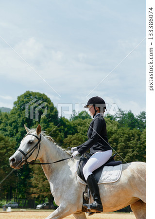 Equestrian sport, horse and rider in dressage competition, woman riding horse in outdoor arena, training and performance, equine event, sunny day, natural light, action shot. Equestrian sport, horse and rider in dressage competition, woman riding horse in outdoor arena, training and performance, equine event, sunny day, natural light, action shot. 133386074
