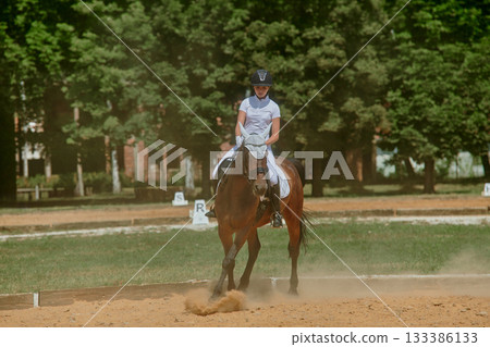 Equestrian sport, horse and rider in dressage competition, woman riding horse in outdoor arena, training and performance, equine event, sunny day, natural light, action shot. 133386133