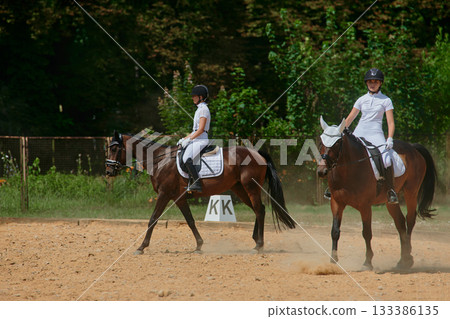 Equestrian sport, two women riding horses in outdoor arena, horse riding training, dressage practice in nature, competitive horse riding, summer activity. 133386135