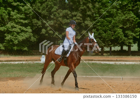 Equestrian sport, horse and rider in dressage competition, woman riding horse in outdoor arena, training and performance, equine event, sunny day, natural light, action shot. Equestrian sport, horse and rider in dressage competition, woman riding horse in outdoor arena, training and performance, equine event, sunny day, natural light, action shot. 133386150