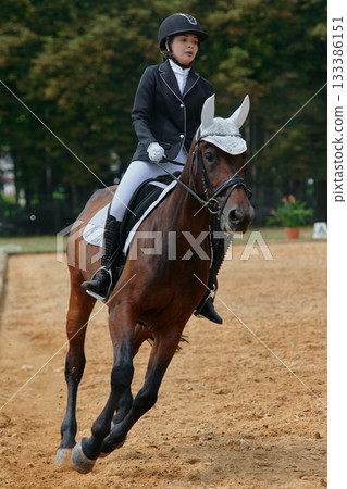 A woman riding a horse in an outdoor arena, showcasing equestrian sport and dressage training. This image is perfect for illustrating themes of competition, healthy lifestyle, and outdoor activities. A woman riding a horse in an outdoor arena, showcasing equestrian sport and dressage training. This image is perfect for illustrating themes of competition, healthy lifestyle, and outdoor activities. 133386151