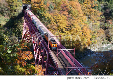 A trolley train crossing Shin-Yamabiko Bridge as seen from the Yamabiko Observatory in Unazuki Onsen 133386249