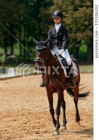 Equestrian sport, horse and rider in dressage competition, woman riding horse in outdoor arena, training and performance, equine event, sunny day, natural light, action shot. 133386282