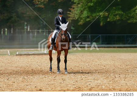 A woman riding a horse in an outdoor arena, showcasing equestrian sport and dressage training. This image is perfect for illustrating themes of competition, healthy lifestyle, and outdoor activities. 133386285
