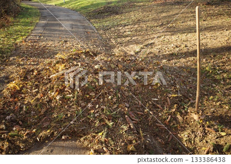 Autumn Leaf and Pinecone Pile Next to Path Autumn Leaf and Pinecone Pile Next to Path 133386438