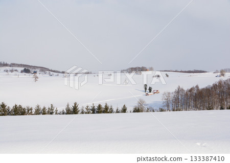 Snow-covered farmland and red-roofed houses Snow-covered farmland and red-roofed houses 133387410