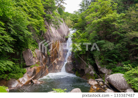 250527 公昇仙鄉 133387487