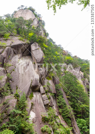 250527 公昇仙鄉 133387505