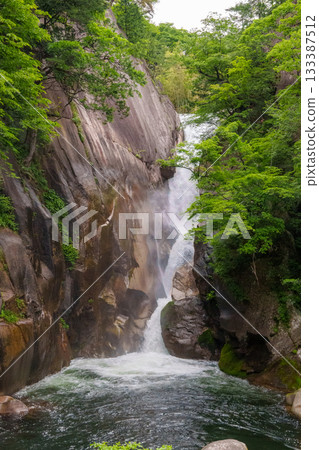 250527 公昇仙鄉 133387512