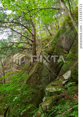 250527 公昇仙鄉 133387513