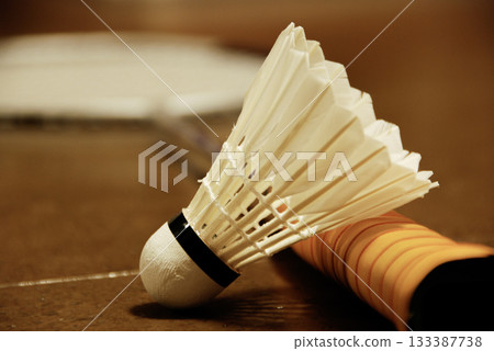 Racket and shuttle 133387738