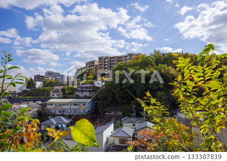 寶塚遠景 寶塚遠景 133387839