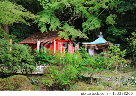 [Oita Prefecture] Inari Hall at Ryogoji Temple on the Kunisaki Peninsula 133388260